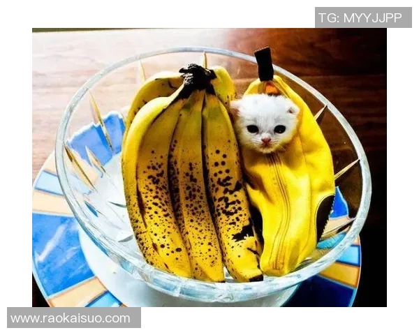 巴西足球明星鲜为人知的趣味冷知识大揭秘