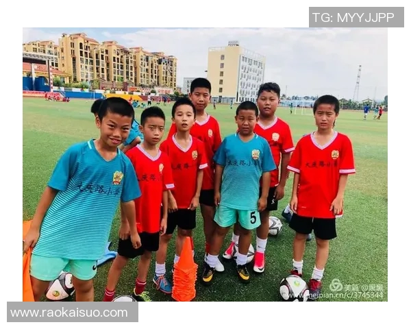 追寻梦想的绿茵传奇我的理想足球明星百人榜