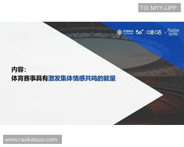 体育品牌价值的提升与市场竞争力的关系探讨与分析